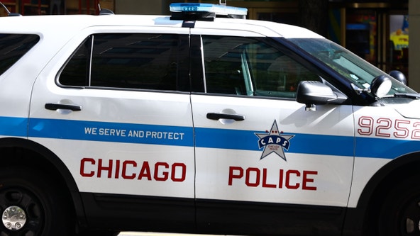 Chicago police officers crash squad car into parked vehicle, tree