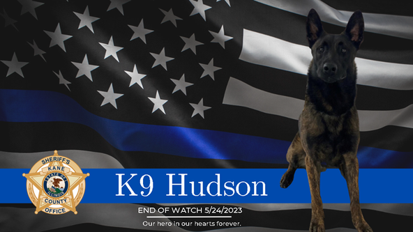 Funeral planned for Hudson, the K9 who died in the line of duty