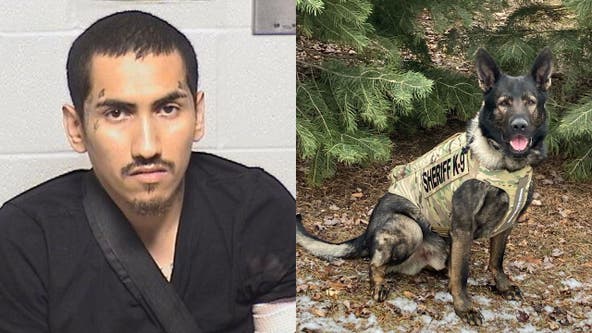Parolee caught by Sheriff's K9 after jumping from motel window fleeing police
