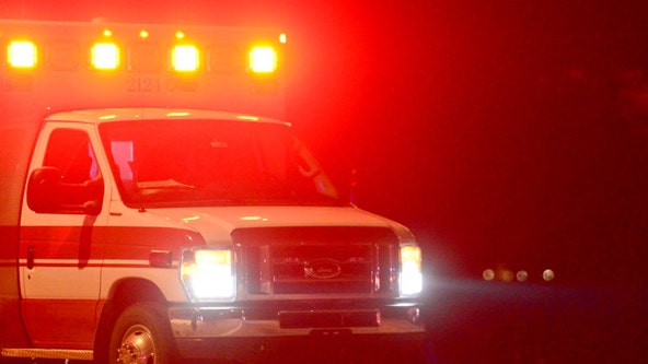 Man beaten with brick in the Loop; 1 in custody: police