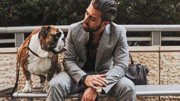 Dog and owner reunited after carjacking in River North