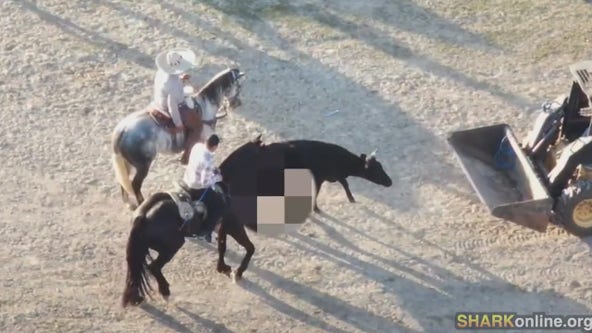Rodeo rider charged after drone video captures animal abuse in Joliet