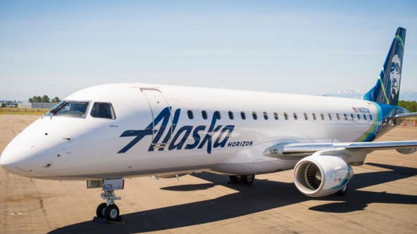 Alaska Airlines flights grounded by FAA