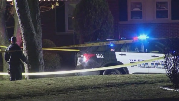 Elk Grove Village officers fatally shoot man armed with knife, police say