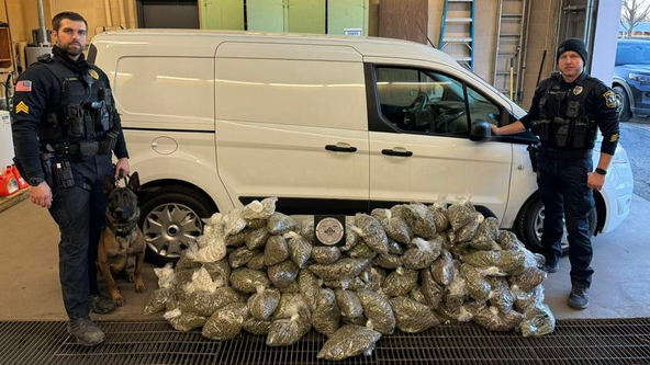 Cook County man arrested after police find 167 pounds of marijuana, 400 THC pens in van