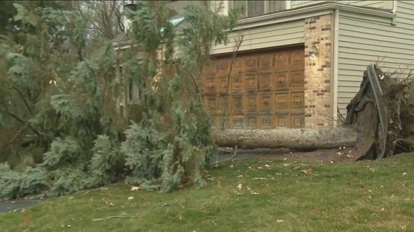 Tornadoes reportedly touch down in Chicago suburbs