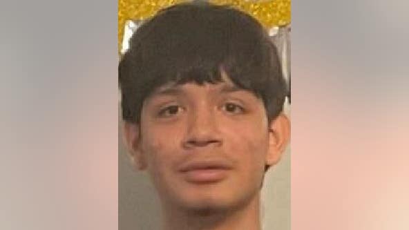 Boy, 14, reported missing from Albany Park