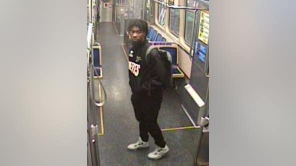 Man stole property from person on CTA Green Line train in Bronzeville: police