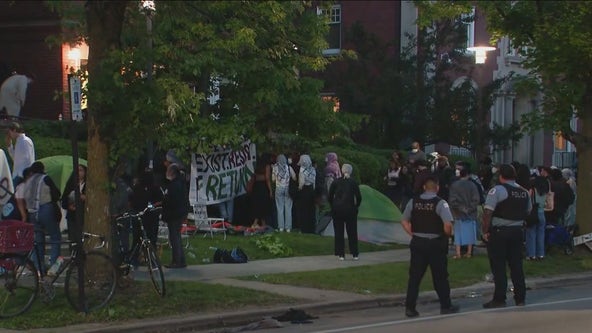 Pro-Palestinian protesters take over campus building at University of Chicago