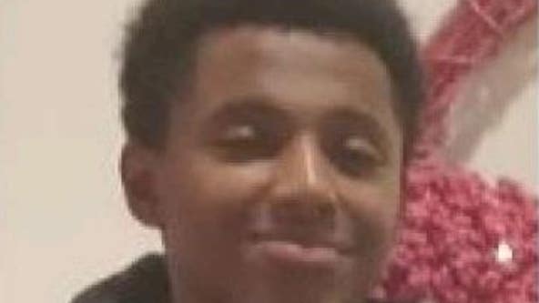 Month-long search continues: Teen missing from Rogers Park