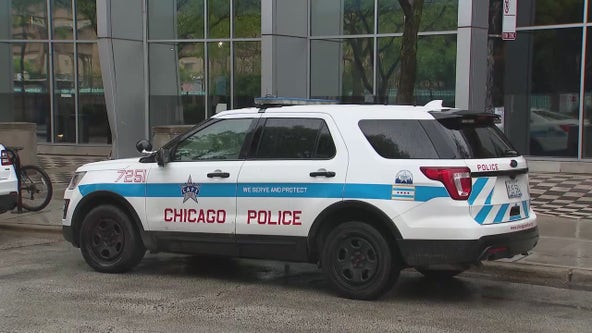 Reported feces smeared on door handles of 8 Chicago police vehicles