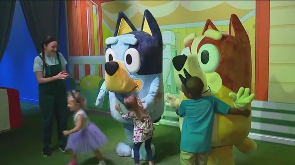 Step into a magical 'Bluey' experience in Lincoln Park