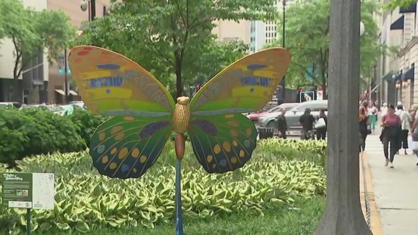Chicago's Mag Mile transforms with unique butterfly exhibit