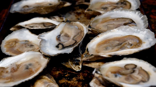 FDA warns some oysters, clams could be contaminated with paralytic shellfish toxins