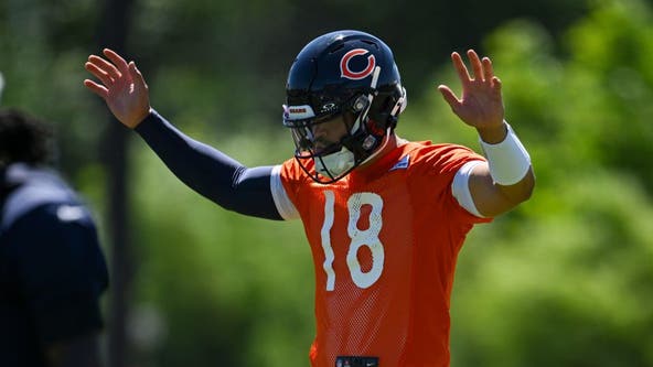 Chicago Bears training camp tickets open to public