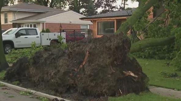 Chicago weather: Cleanup underway following widespead storm damage
