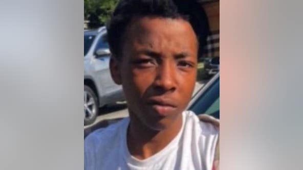 Chicago police search for endangered missing teen from Englewood