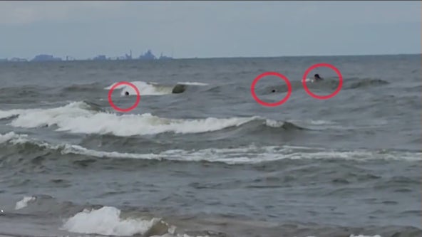 Chicago nonprofit launches lifesaving training as Lake Michigan drownings surge