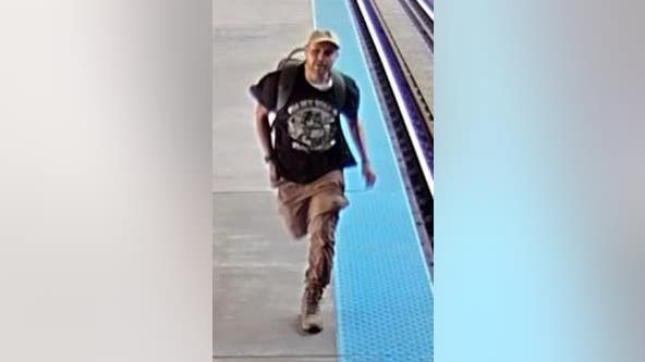 Man wanted for robbing woman on CTA Pink Line train