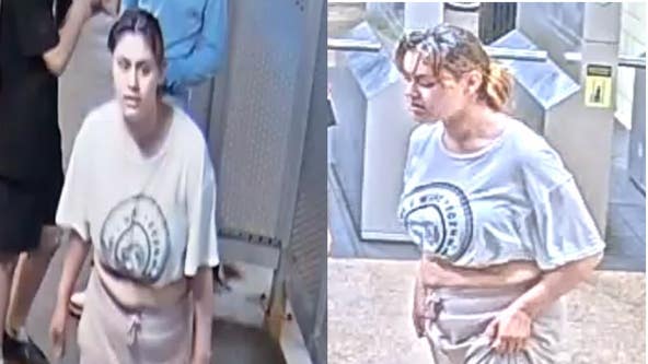 Police seek woman who attacked, robbed CTA rider on West Side platform