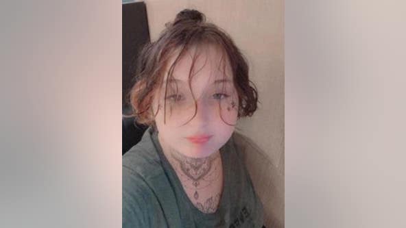 Girl, 15, reported missing since May