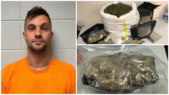 Buffalo Grove man busted with large amount of MDMA, weed