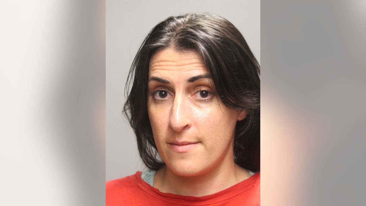 Chicago woman charged with hate crimes over vandalism of pro-Palestinian mural