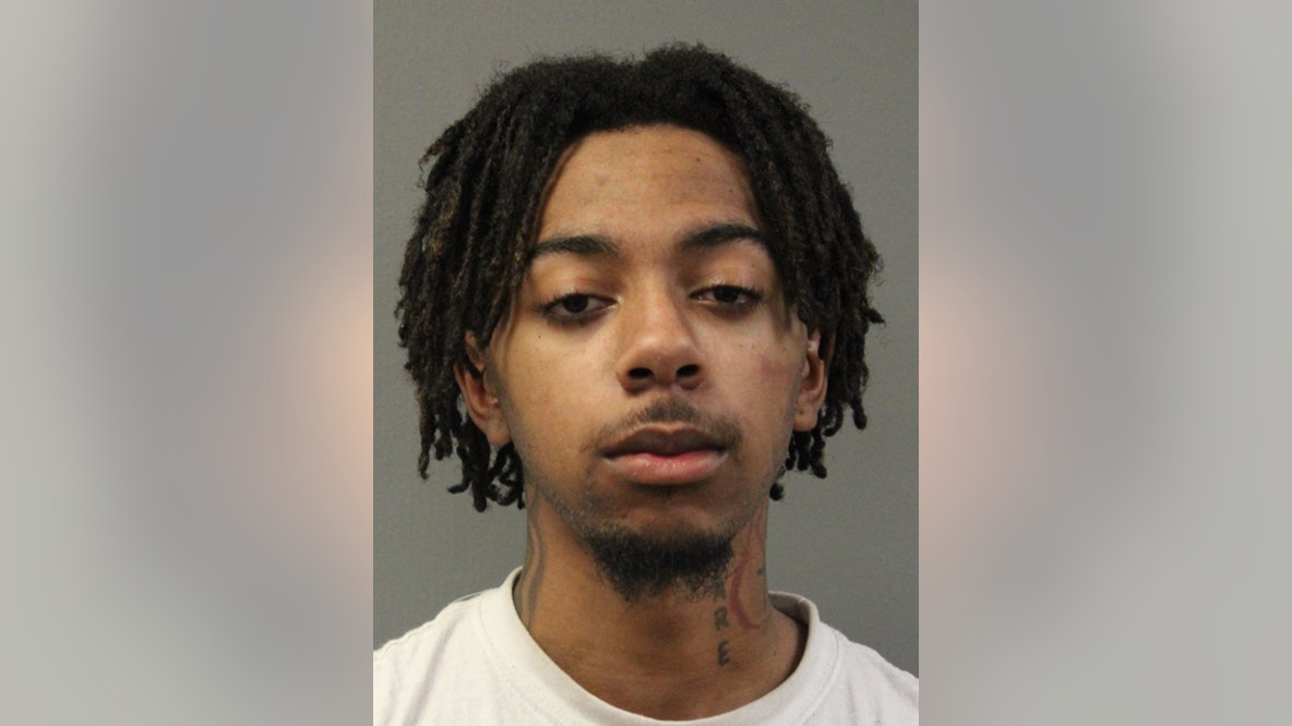 Chicago teen arrested after carjacking 2 men on NW Side, police say