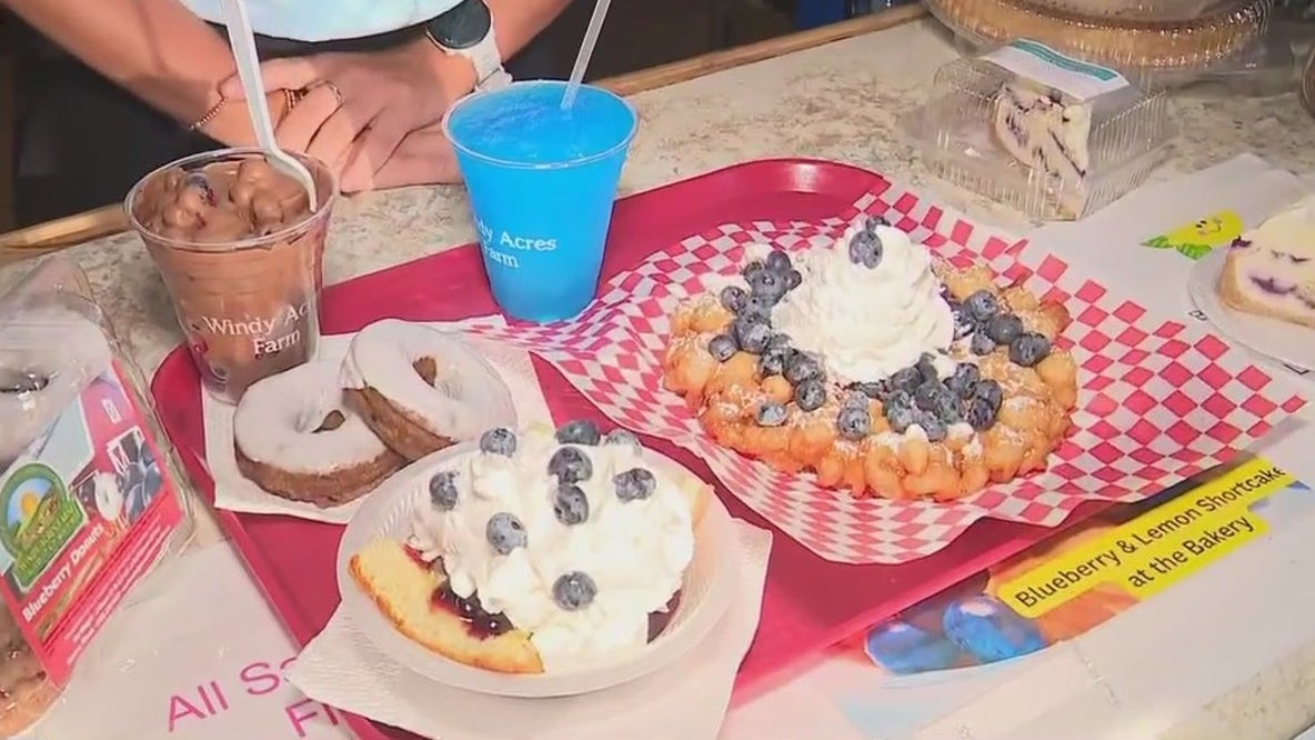 Blueberry Festival and Corn Boil returns to Windy Acres Farm in Geneva