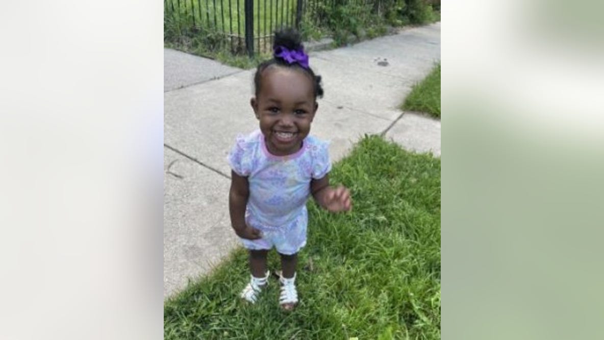 Paradise Johnson: Search ongoing for missing 1-year-old on Chicago's South Side