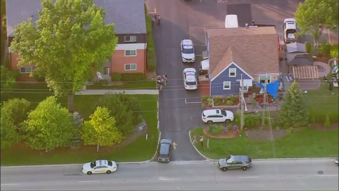 Cook County deputy shoots suspect to stop stabbing during domestic call, officials say