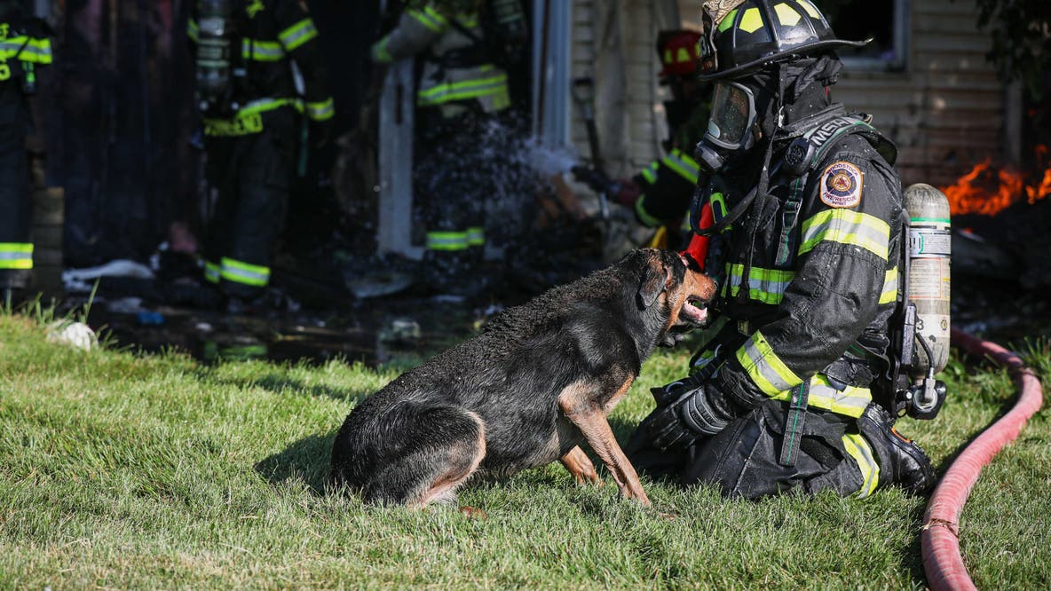 4 dogs rescued, 6 unaccounted for in Woodstock house fire, authorities say