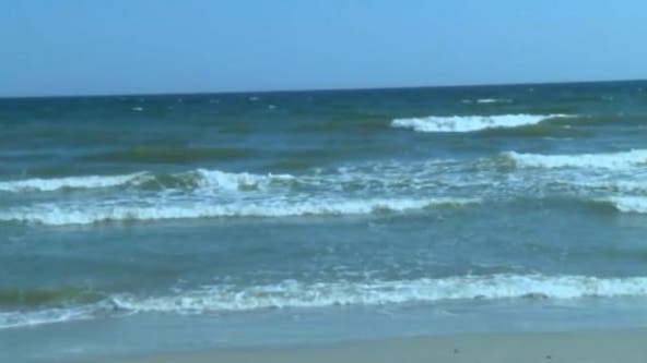Shark bites man at New Smyrna Beach, officials say