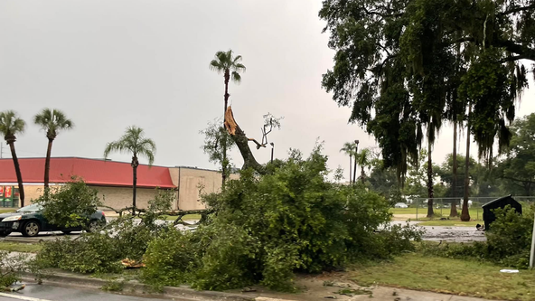 Florida storm damage: snapped trees flooded streets in Ocala after Friday storms