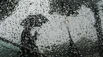 Disturbance in Gulf of Mexico to impact Florida: Here's what to expect