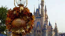 Watch: Disney's Magic Kingdom transforms overnight with fall decor
