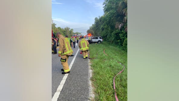 8 hospitalized after SUV crashes when deer crosses road in Seminole County: officials