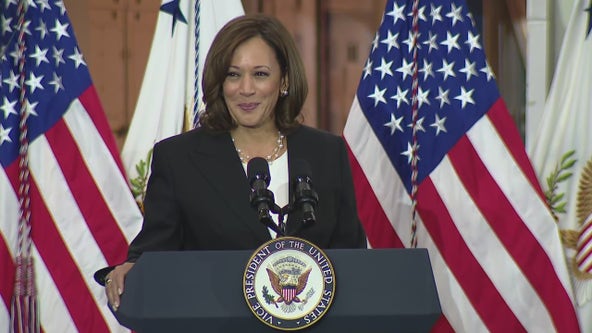 Harris has support of enough Democratic delegates to become presidential nominee: AP survey