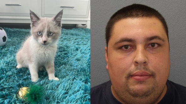 Florida man accused of tossing kittens out of SUV onto highway, sheriff says