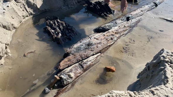Archaeologists: Mystery debris found on Florida beach likely shipwreck remains from 1800s