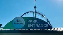 SeaWorld Orlando guests can get a free beer this summer