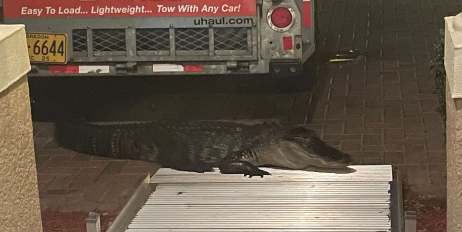 Florida man attacked by alligator describes what happened: 'All I saw was this massive black thing'