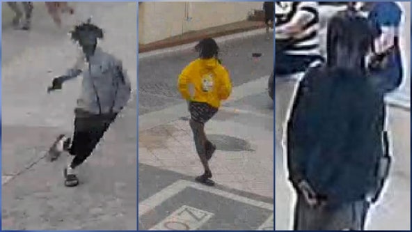 Hollywood, Florida shooting: Police looking for 3 people in South Florida mass shooting