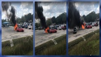 'I can feel the heat from here': Video shows car engulfed in flames at SeaWorld in Orlando