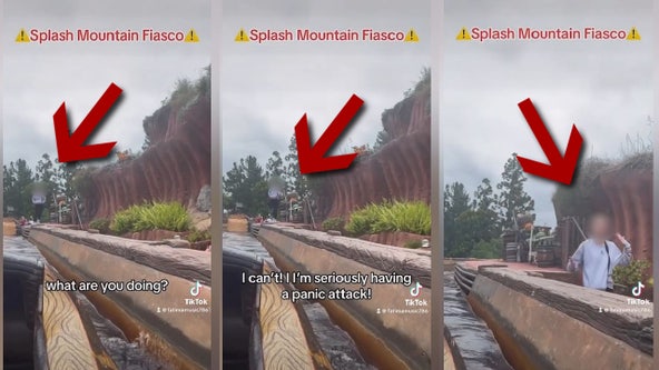 Disneyland rider jumps out of log on Splash Mountain seemingly over panic attack