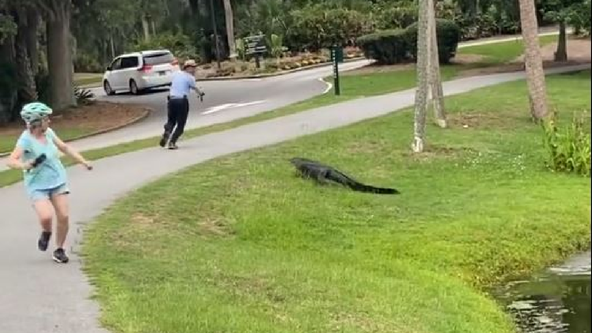 Alligator emerges from pond to chase fisherman in wild video: 'Alligators are faster than you think'