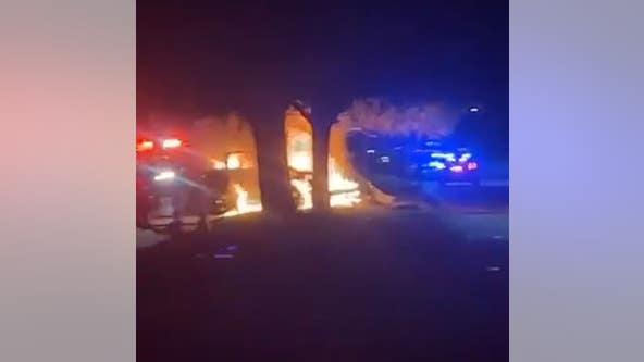 Pickup truck crashes into tree and bursts into flames in Orlando, troopers say