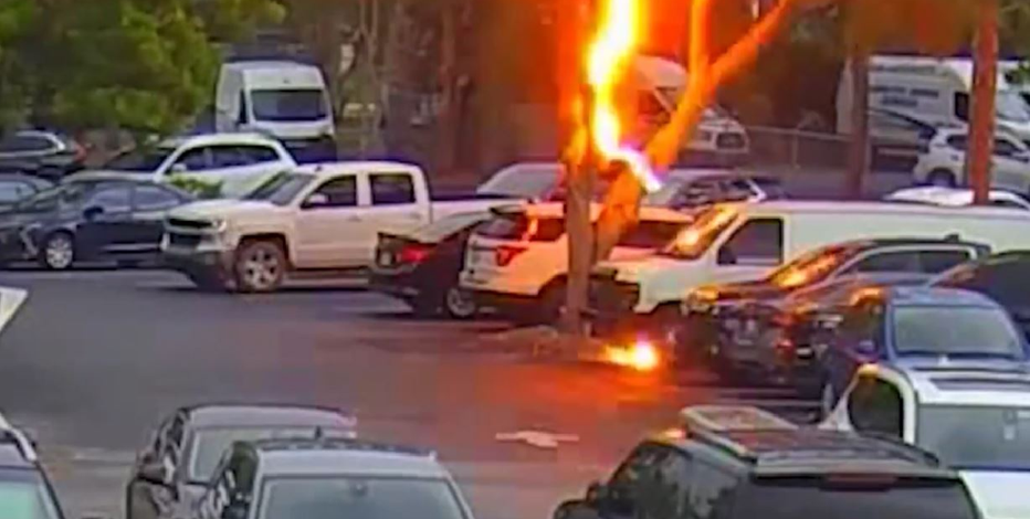 Lightning bolt strikes tree near parked car at Florida sheriff's office: WATCH