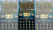 67-year-old Florida woman becomes instant millionaire with lottery win