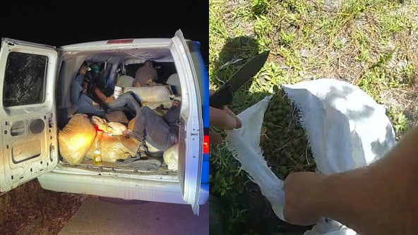 Berry bust: 15 people arrested, hundreds of pounds of illegal berries seized in Florida, deputies say